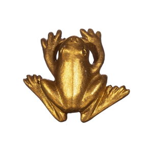 Cínová úchytka na šuplík ve zlaté barvě Sass & Belle Frog