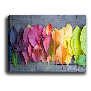 Obraz Tablo Center Gradient Leaves, 70 x 50 cm