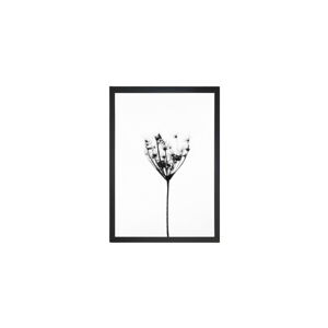 Obraz Tablo Center Misty Splender, 27 x 32 cm