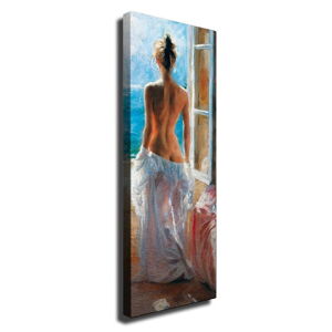 Nástěnný obraz na plátně Window, 30 x 80 cm