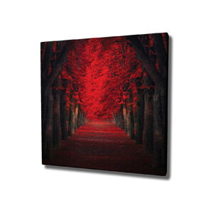Nástěnný obraz na plátně Red Trees, 45 x 45 cm