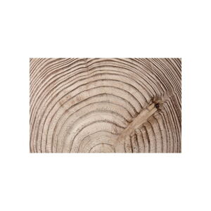Velkoformátová tapeta Bimago Wood Grainl, 400 x 280 cm