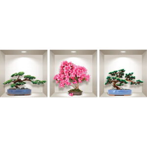 Sada 3 3D samolepek na zeď Ambiance Natural and Colorful Bonsai