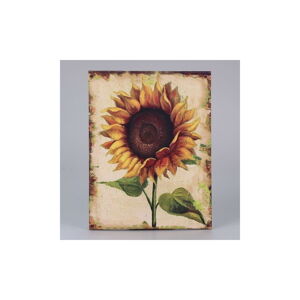 Obraz na plátně Dakls Sunflower