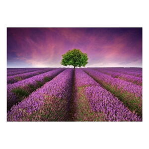 Vinylový předložka Lavender Field, 52 x 75 cm