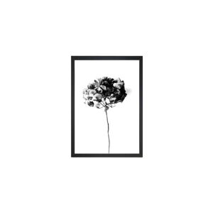 Obraz Tablo Center Velvet Flower, 24 x 29 cm