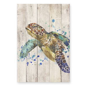 Dřevěná nástěnná dekorativní cedule Surdic Watercolor Turtle, 40 x 60 cm