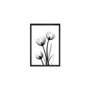 Obraz Tablo Center Scented Flowery, 23 x 28 cm