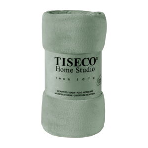 Zelená mikroplyšová deka Tiseco Home Studio, 220 x 240 cm