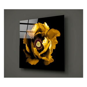 Černo-žlutý skleněný obraz Insigne Calipsa Amarillo, 30 x 30 cm