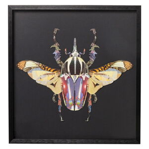 Zarámovaný obraz Kare Design Beetle, 60 x 60 cm