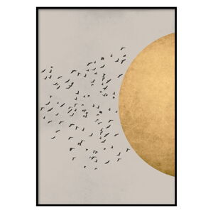 Nástěnný plakát v rámu BIRDS/SILHOUTTE, 40 x 50 cm