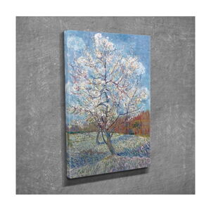 Nástěnný obraz na plátně Blossom, 30 x 40 cm