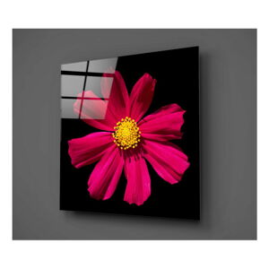 Černo-červený skleněný obraz Insigne Flowerina, 30 x 30 cm